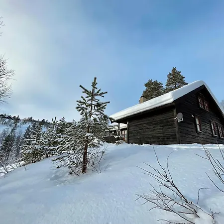 Modern With Views In Sirdal Semesterbostad *